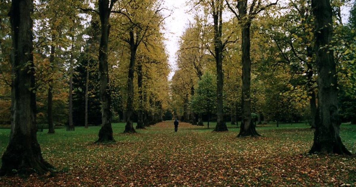 Westonbirt The National Arboretum In Great Britain Uk Sygic Travel