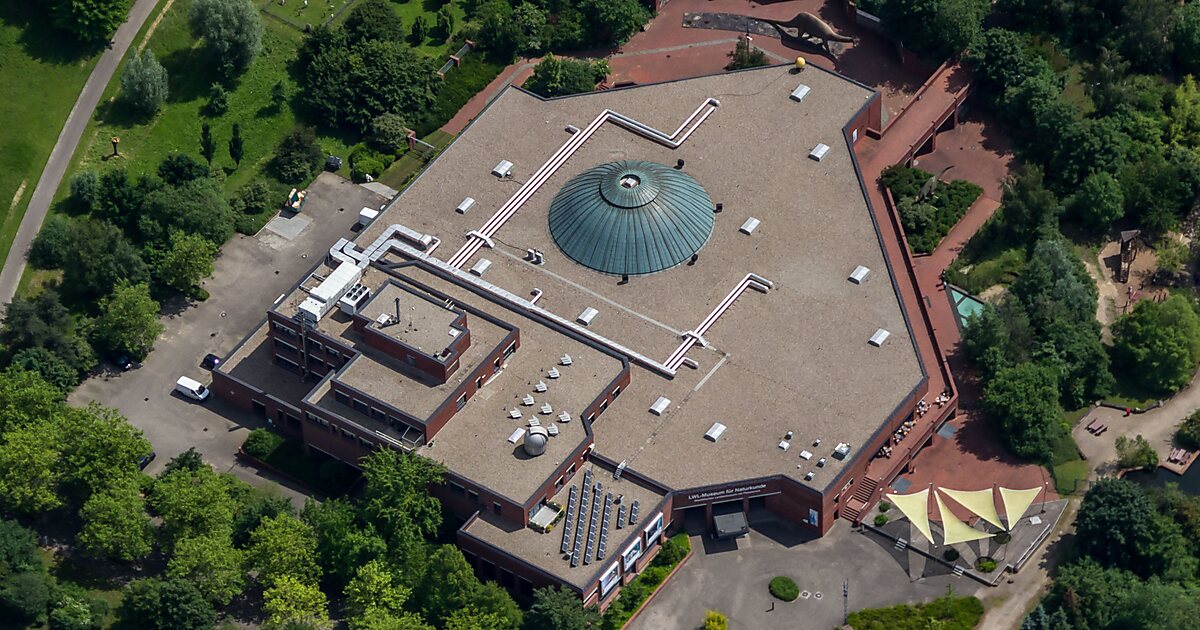 Westphalian Museum Of Natural History In Sentruper H He M Nster