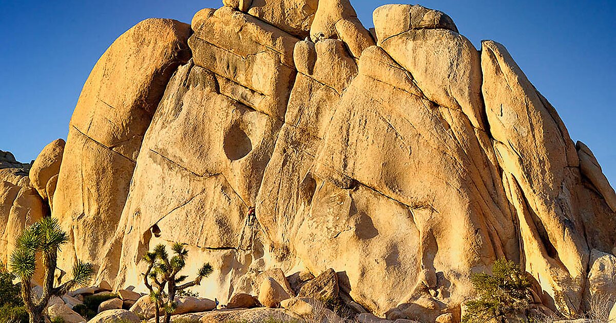 Parque Nacional De Rboles De Josu En Estados Unidos De Am Rica