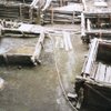 Брестская крепость