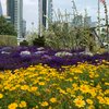 CORNICHE ENDS