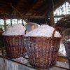 Læsø Salt Museum