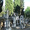 English Cemetery of Florence