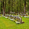 Davos Forest Cemetery