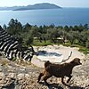 Lycian amphitheatre