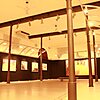 Pinacoteca Civica Amedeo Modigliani