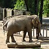 Łódź Zoo