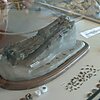 Museo di Mineralogia Paleontologia