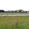 Maglehøj