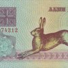 Заяц русак