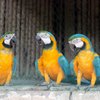 National Zoological Park
