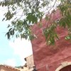 Palio Khao Yai