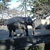 Odawara Zoo