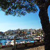 Port of Cala Rajada