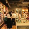 Museum of Counterfeit Goods