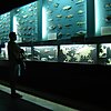 Gdynia Aquarium