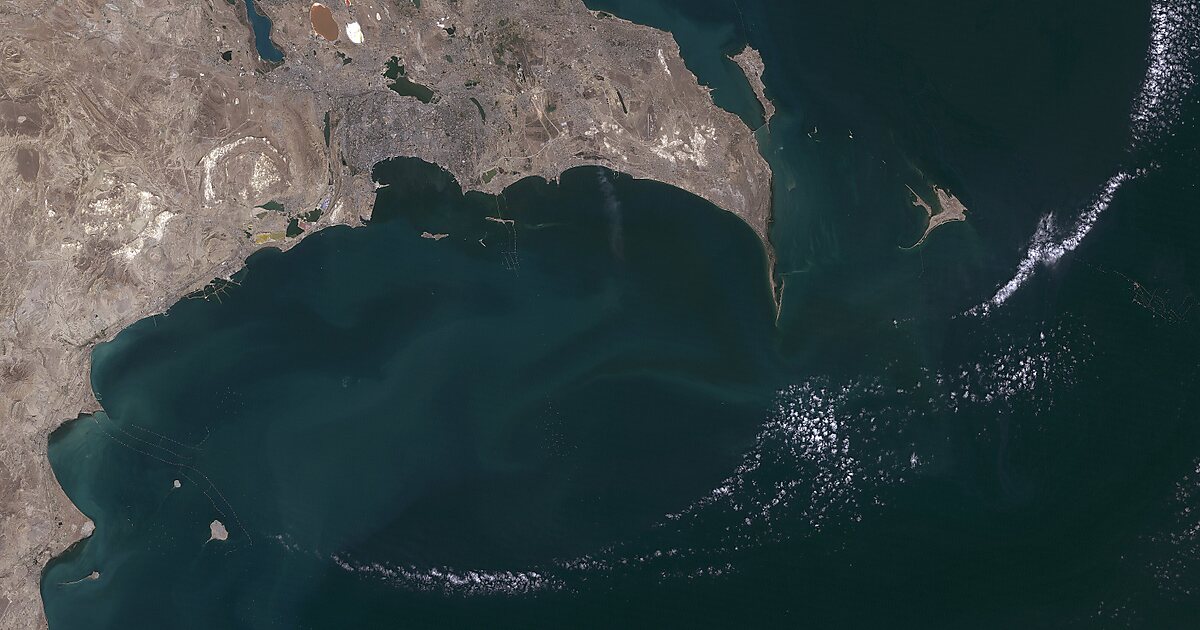 чеботарь максим. янис маршал. остров чилов. стен чилов. остров чилов.