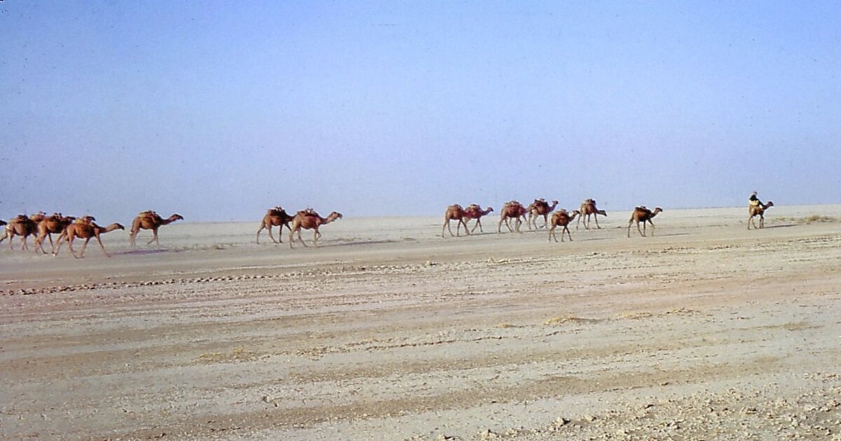 Registan Desert in Asia | Tripomatic