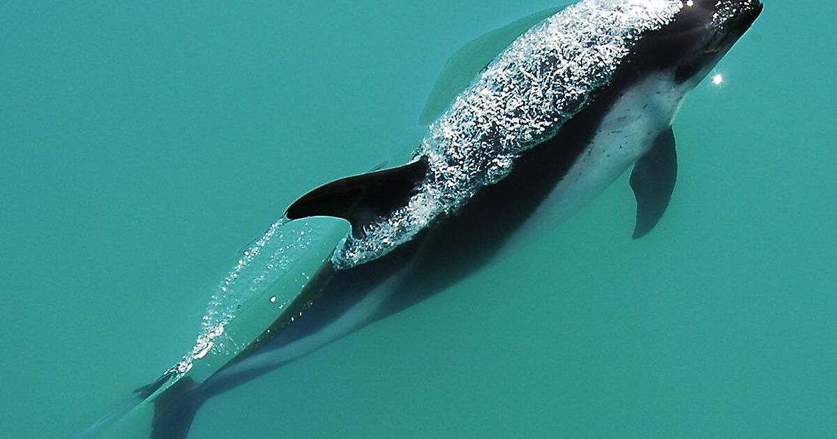 Cabo de Hornos National Park in Chile Sygic Travel
