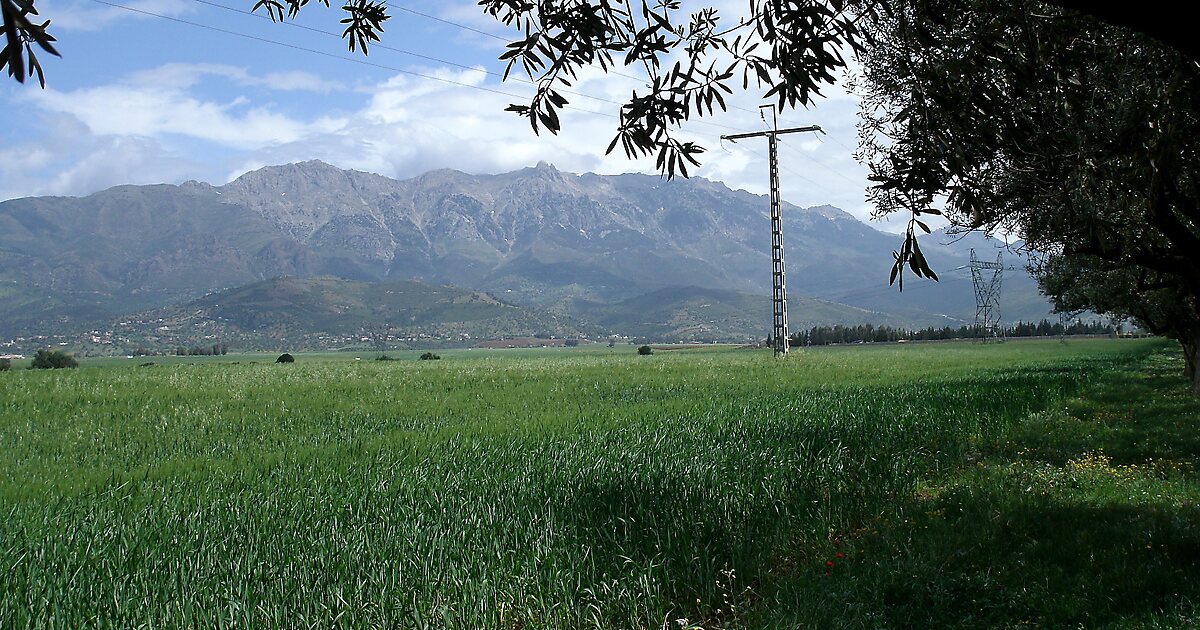 Parque nacional de Djurdjura en Argelia | Tripomatic