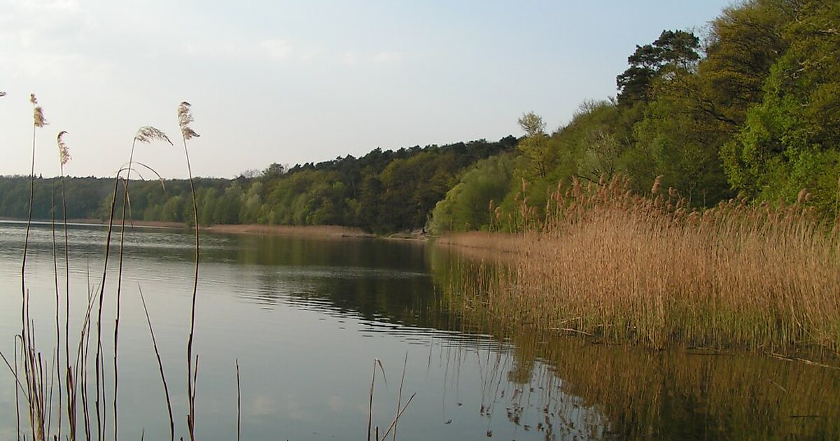 Parque nacional de Wielkopolska en Polonia Sygic Travel