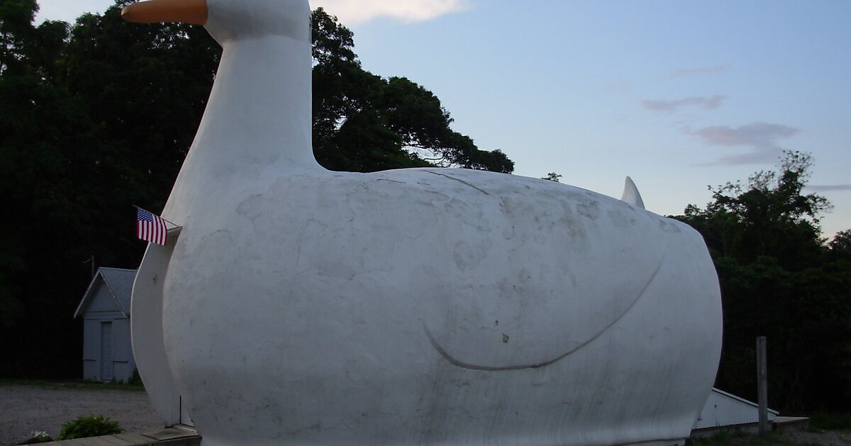 Флорентин хоффман уточка. Дом в форме утки. Большая утка. Дом утка вентури. Big duck.