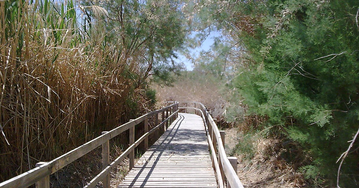 Reserva de los Humedales de Azraq en Gobernación de Zarká, Jordania
