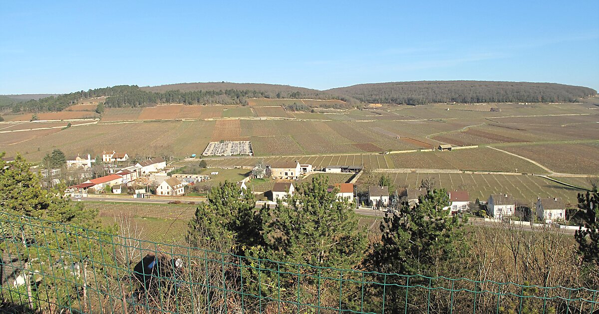 Savigny les beaune. Савиньи-Ле-Бон. Ле-Бономе. Мургебон фото. Агушбона картинка.