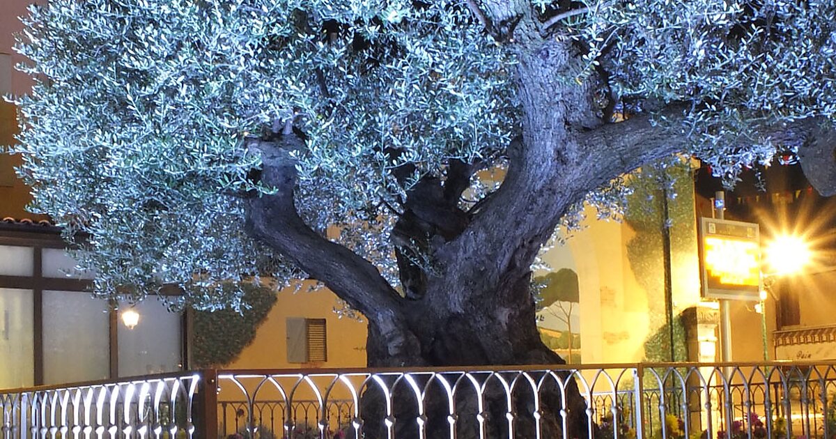 PlandeCuques in Provenzalische Voralpen Sygic Travel