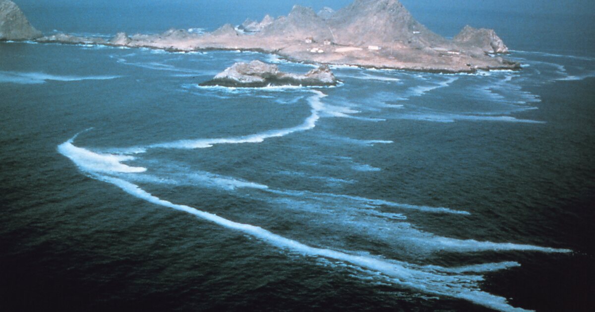 Farallon Islands in San Francisco, United States | Tripomatic