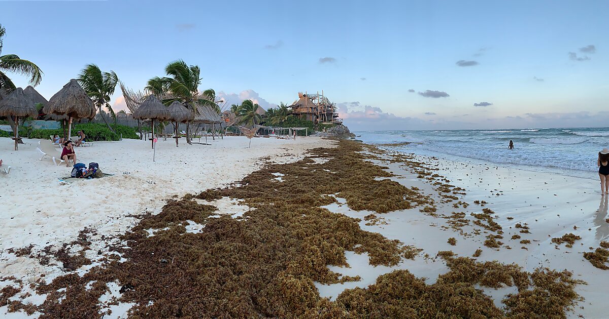 north beach tulum