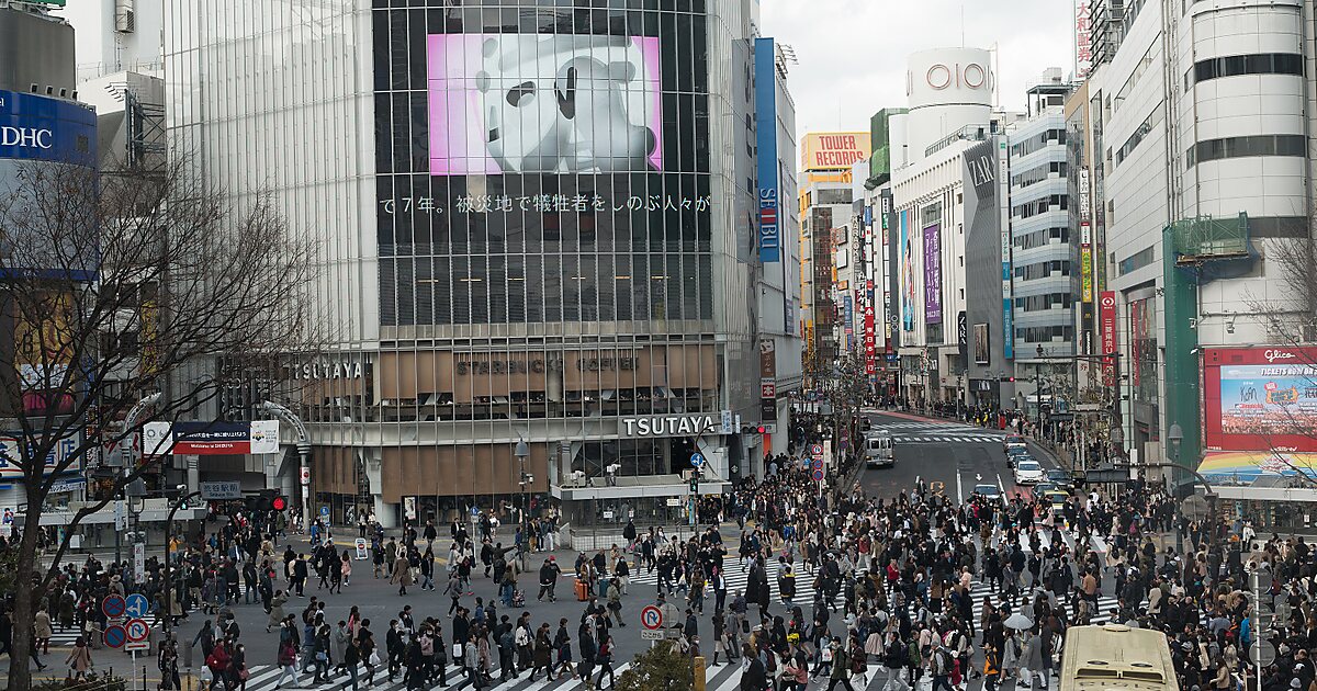 Karl tokyo shibuya. Токио Сибуя больница. Перекресток Сибуя. Сибуя перекресток камера.