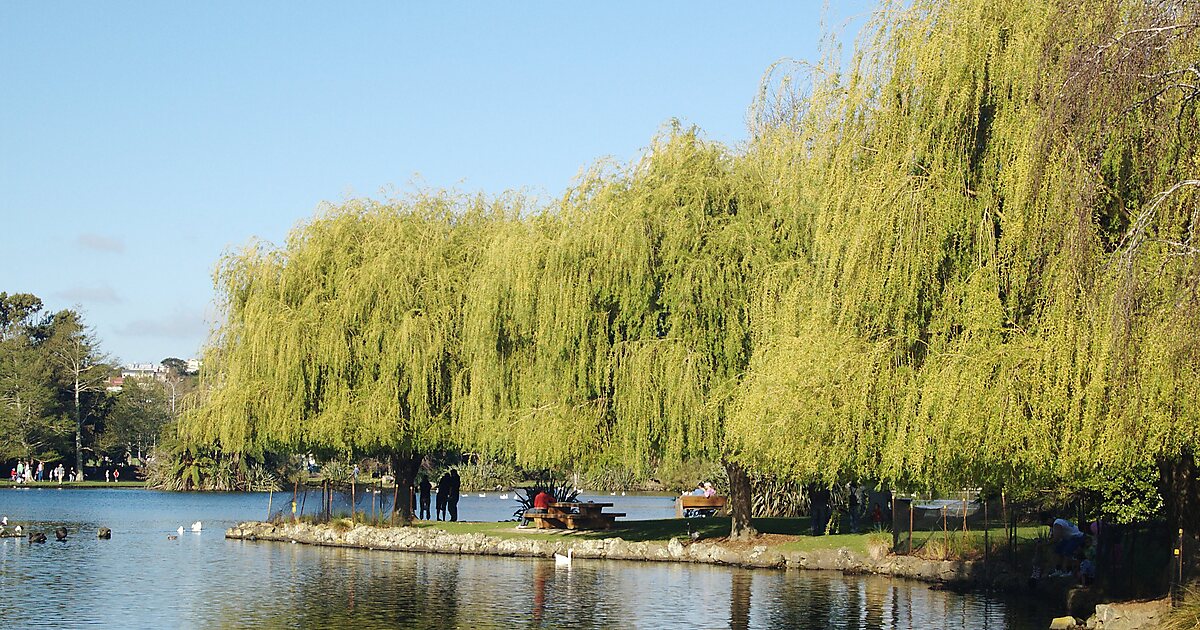 Western Springs Lakeside Park in Auckland, New Zealand | Tripomatic