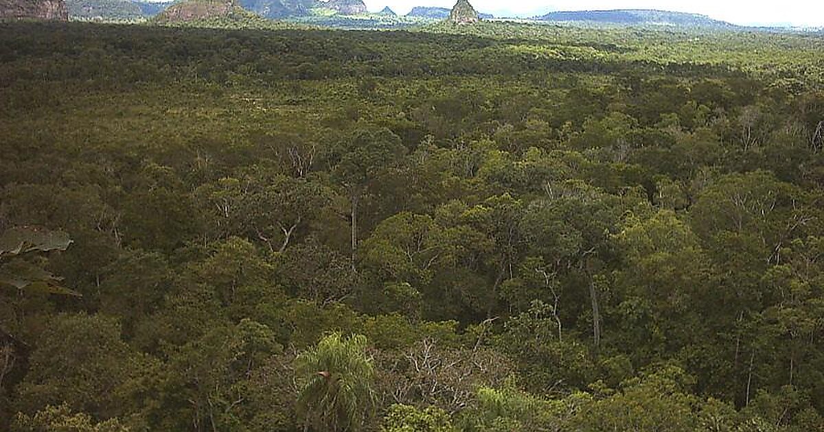 Cerro Cora National Park in Región Oriental, Paraguay Sygic Travel