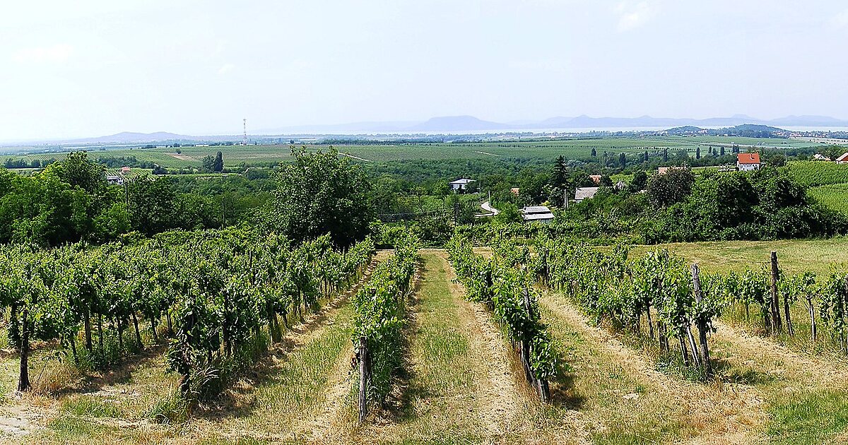 Северная венгрия. КИШ Балатон национальный парк. Northern Hungary.