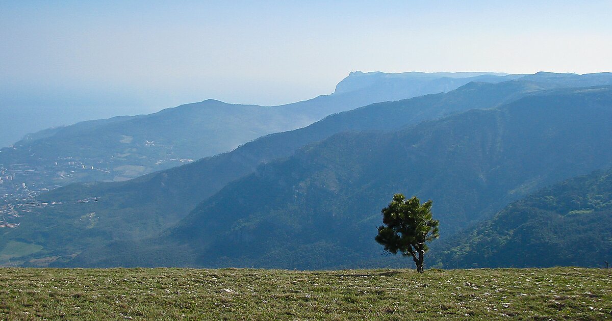 Ялтинский Горно Лесной заповедник в Крыму