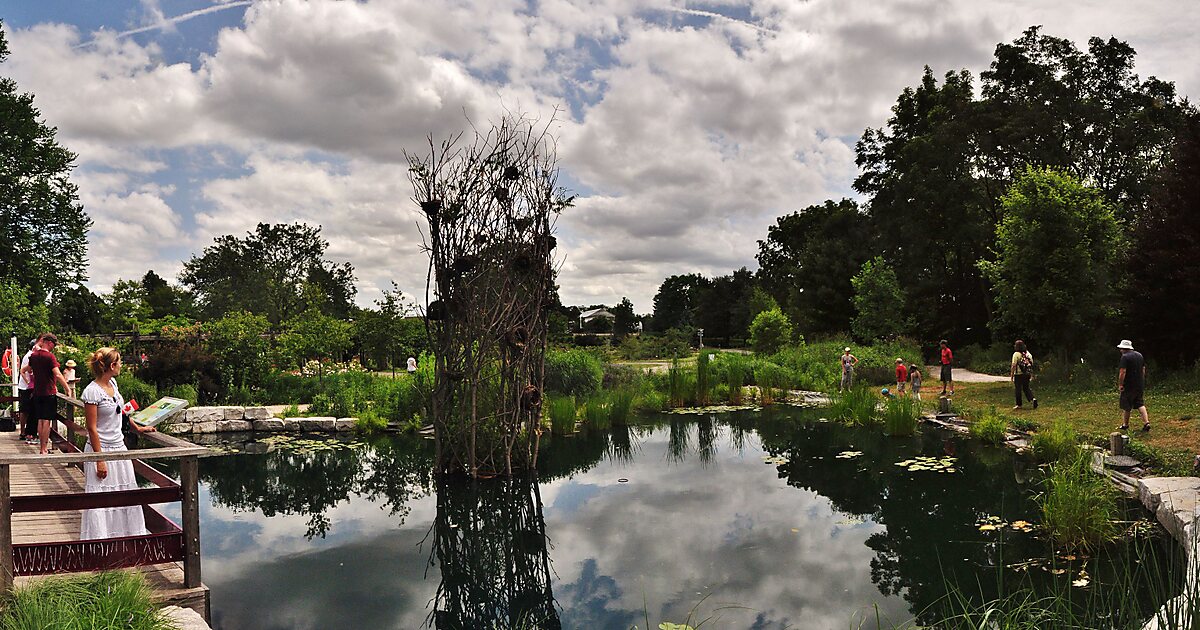 сад контакты