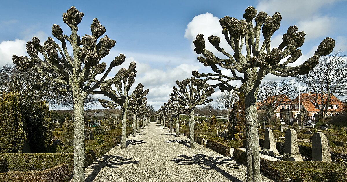 Bedfont Cemetery in London, UK | Sygic Travel