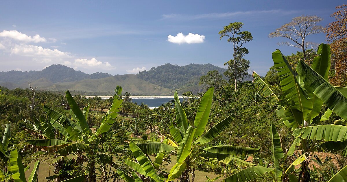  Parc  national  de  Meru  Betiri  East Java Indon sie  