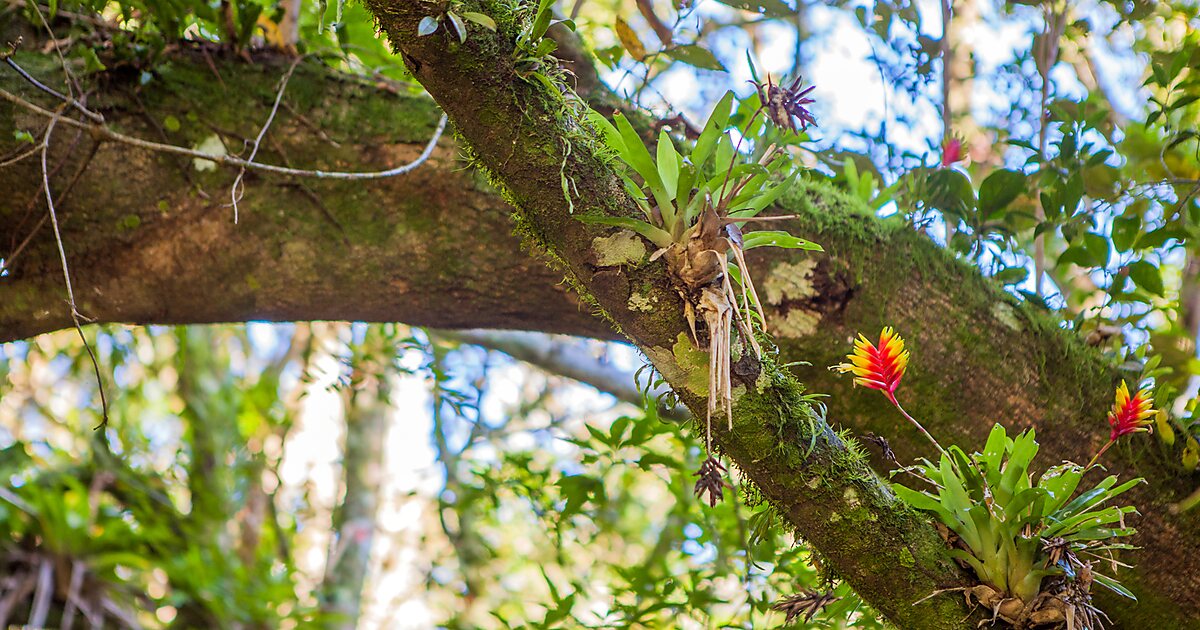 Parc national de la Serra Geral - | Tripomatic