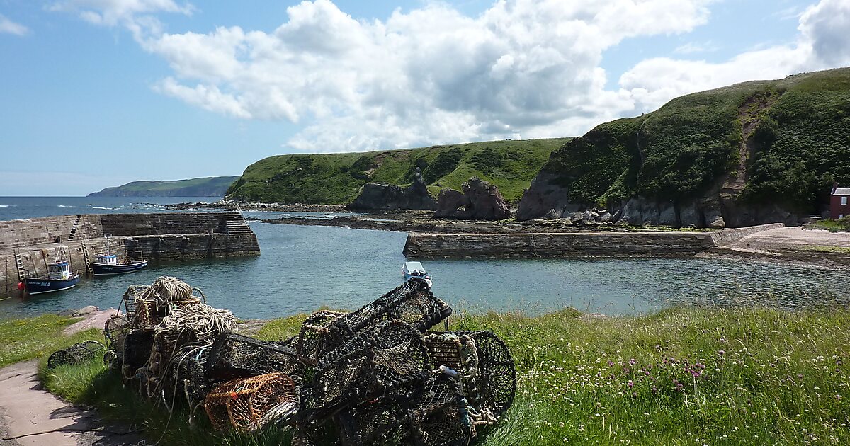 Cove Harbour in UK Sygic Travel