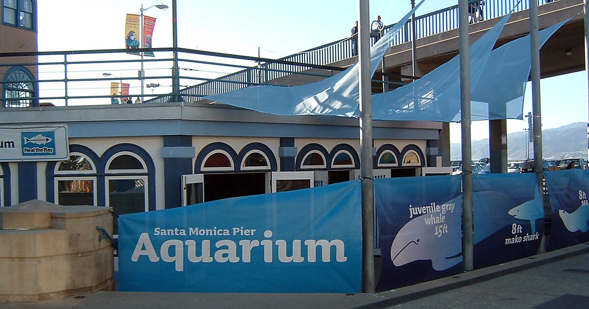 Santa Mónica Pier Aquarium in Santa Monica, USA Sygic Travel
