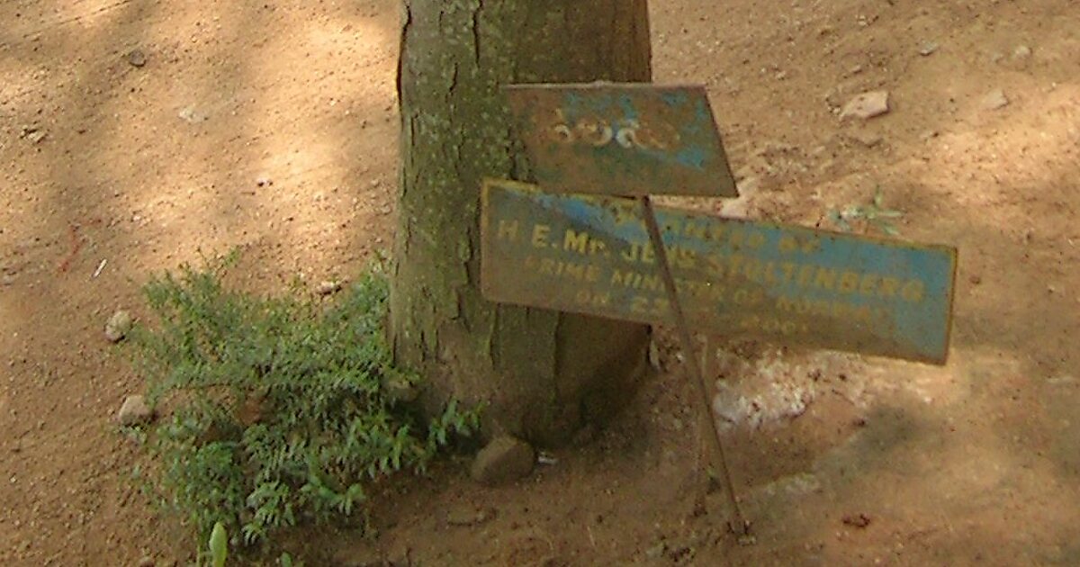 Hebbal Lake in Bengaluru | Tripomatic