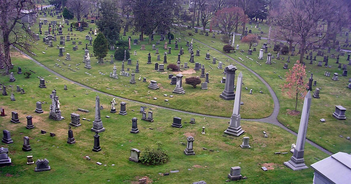 Гринфилд кладбище в нью йорке википедия фото