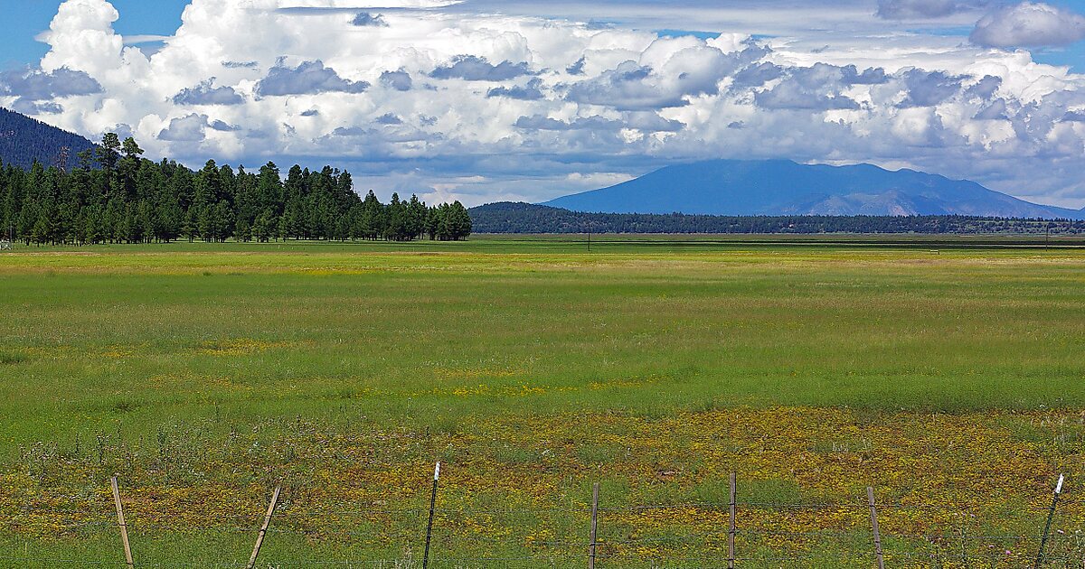 Mormon Lake in Coconino County, Arizona | Sygic Travel