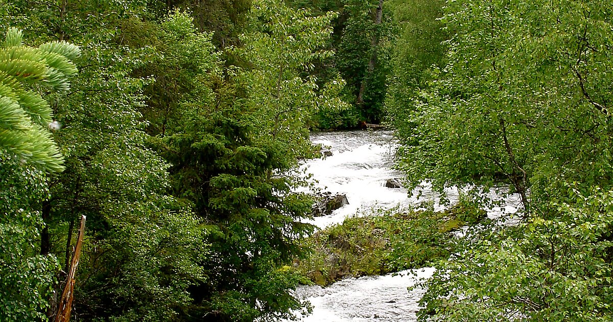 Russian River In Alaska 