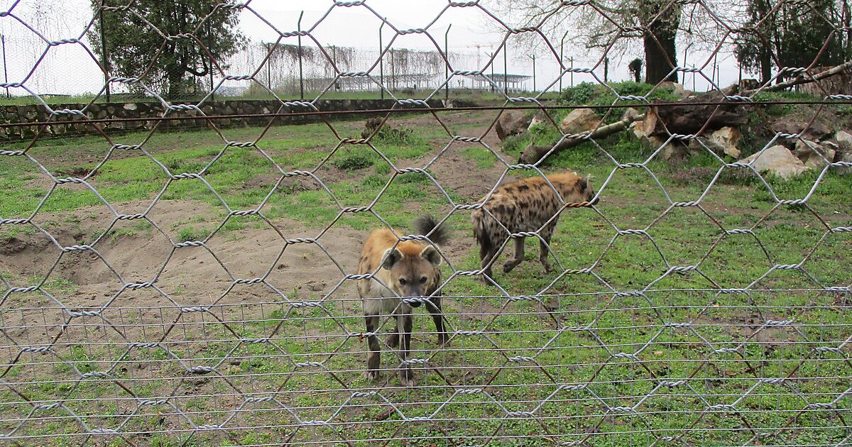 Osijek Zoo and Aquarium in Lijeva obala, Osijek, Croatia Sygic Travel