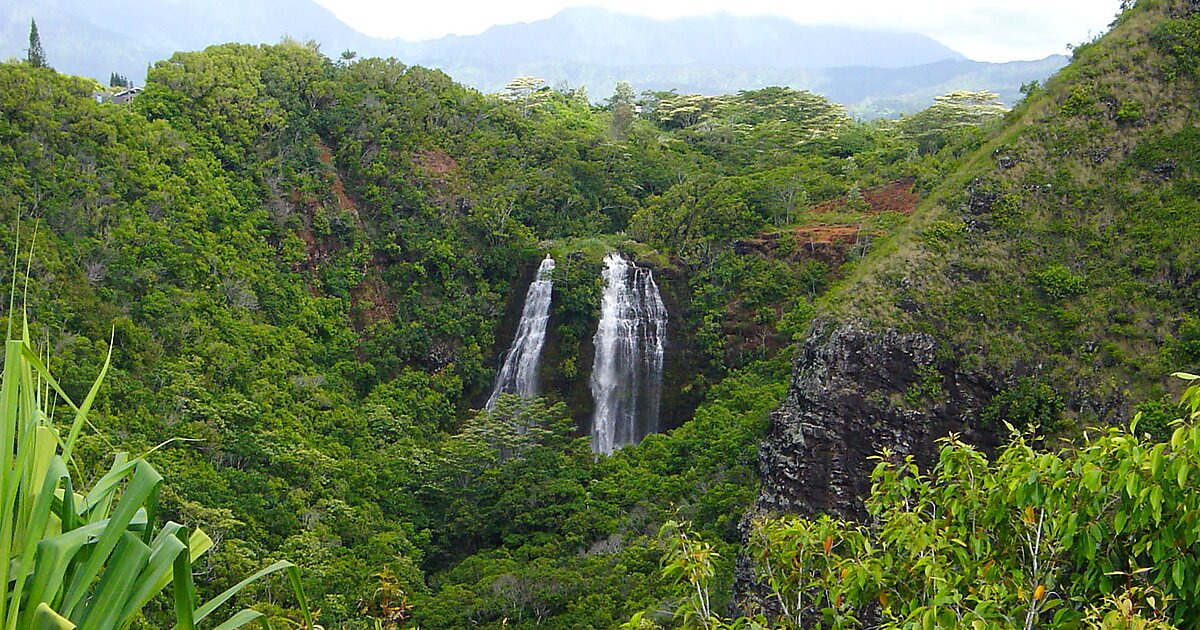 Cascadas de ʻŌpaekaʻa en Wailua Homesteads, Estados Unidos de América