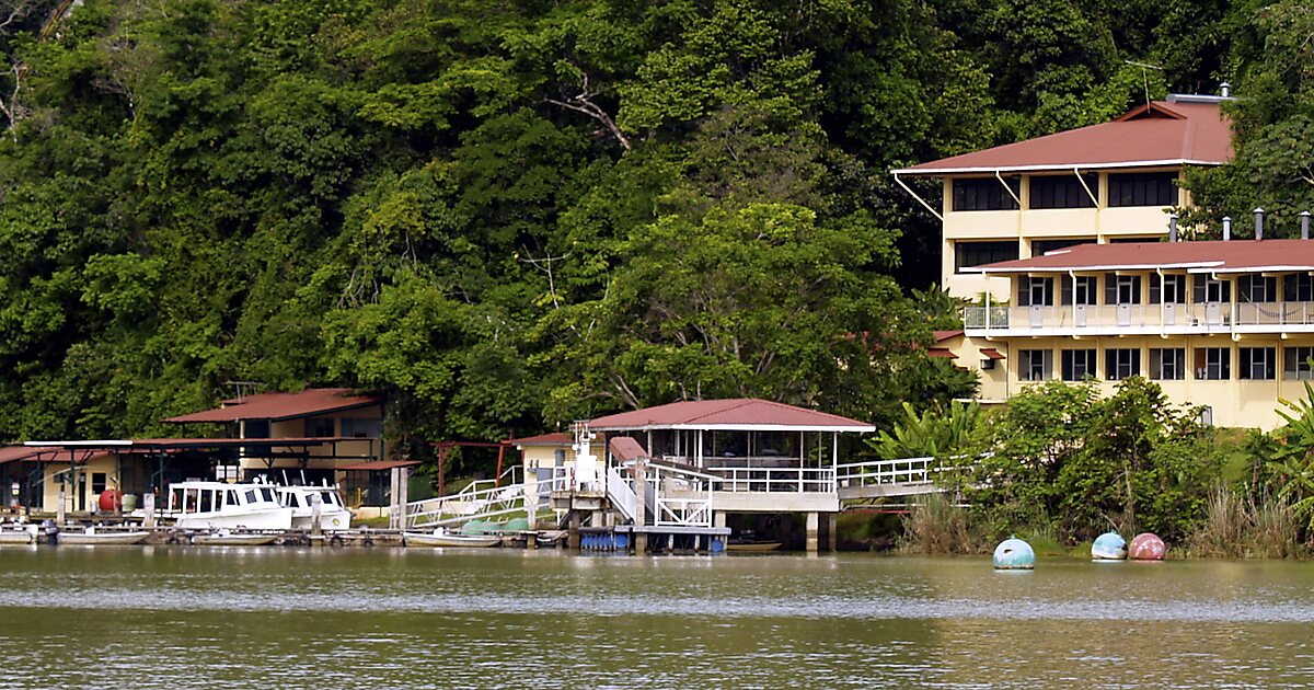 Instituto Smithsoniano de Investigaciones Tropicales en Ancón, Panamá ...