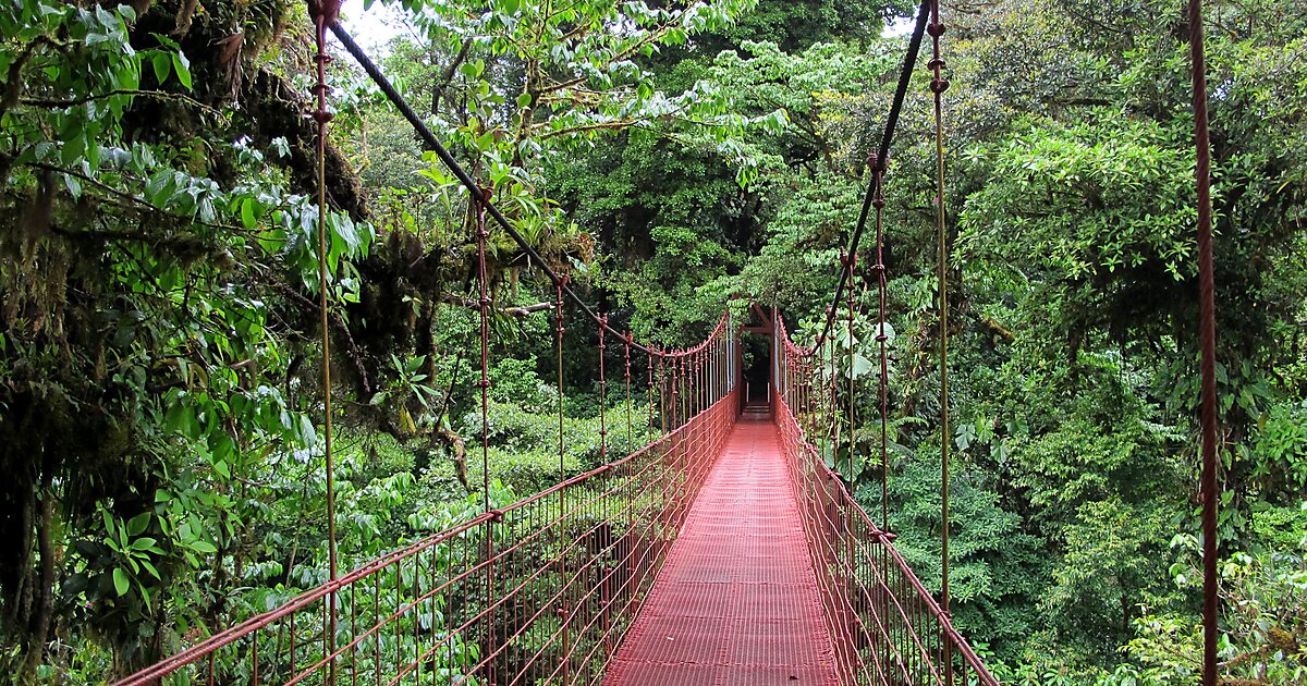 monteverde-cloud-forest-reserve-in-puntarenas-costa-rica-sygic-travel